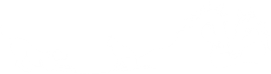 footerbirgcollective.png
