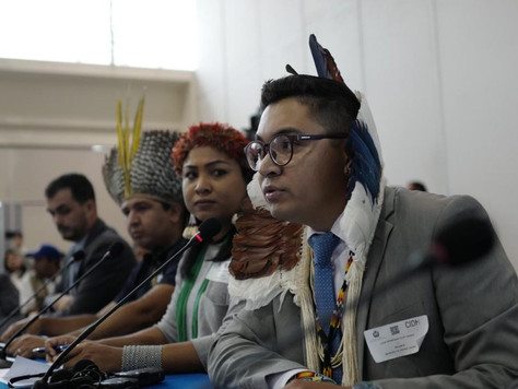 WHY BRAZIL CANNOT DENOUNCE ILO 169 WITHOUT ADEQUATE CONSULTATION