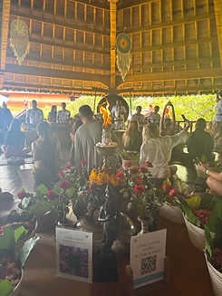 Bali spirituality 5 Large.jpeg
