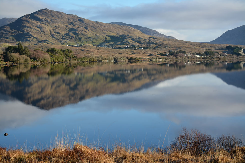 קונמארה: הסוד הפראי של אירלנד שרוב המטיילים מפספסים