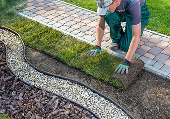 landscaping.jpg