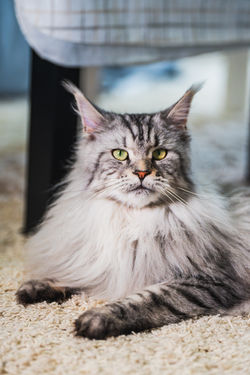 1ab6399263f9eb6e22bcadec6ad8d83