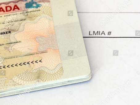 工作签证持有人读书不必再申请学签