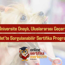 Pet Kuaför Belgesi: Evcil Hayvan Bakımı ve Estetik