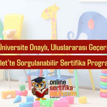 Çocuk Gelişimi Sertifikası: Geleceğe Yön Verin