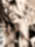 etoile marley _edited.jpg