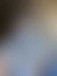 A Collection - FINAL 4D Project