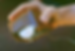 ree