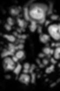 untitled shoot-7304.jpg