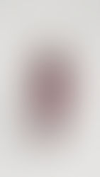 Smitha T- The Entrepreneurs of India Magazine