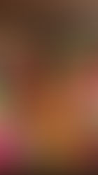 Vasuki Punj- The Entrepreneurs of India Magazine