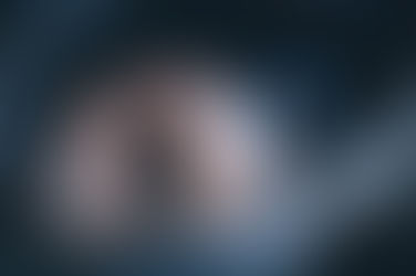 Cómo ven perros y gatos: Una mirada a través de sus ojos.