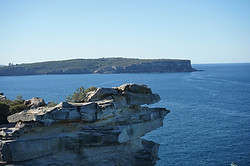 DSC00701-Edit.jpg