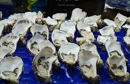 Oysters.jpg