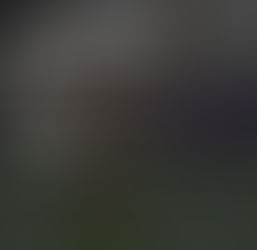 Tuesday 12th Nov | Bear Complex