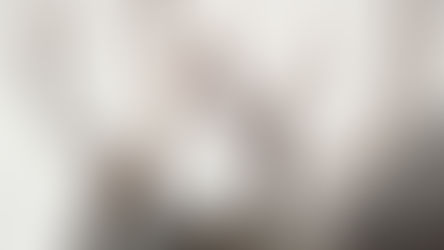 Finland: Fancy Meeting a Reindeer?