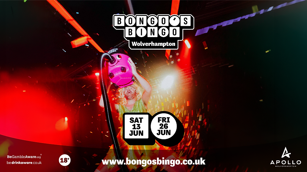 Bongo’s Bingo