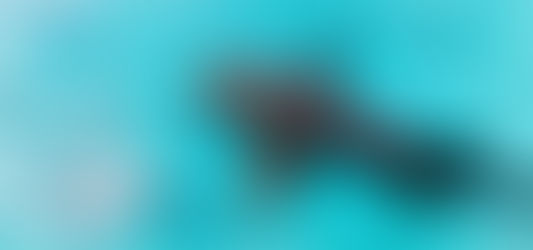 Tahiti: Sharks, Stingrays, and Sunshine