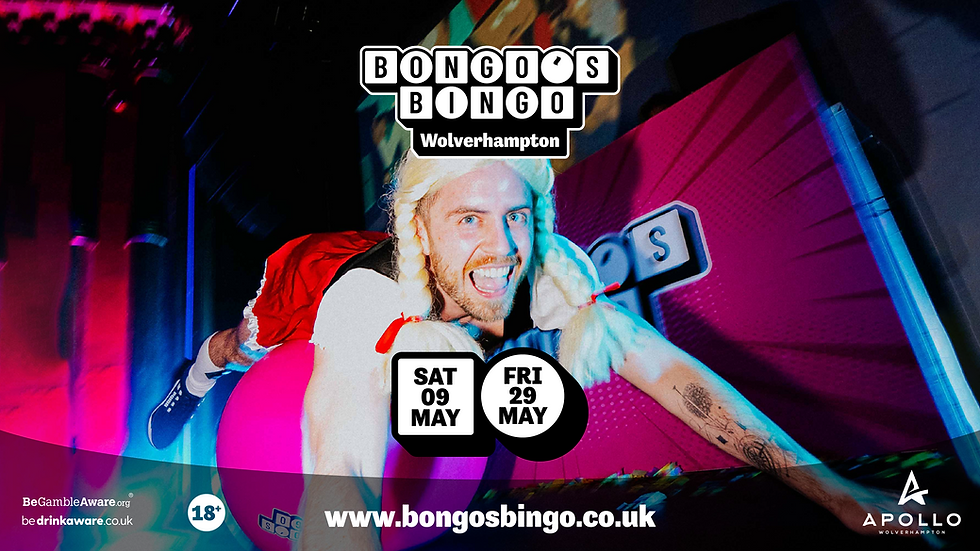 Bongo’s Bingo (1)
