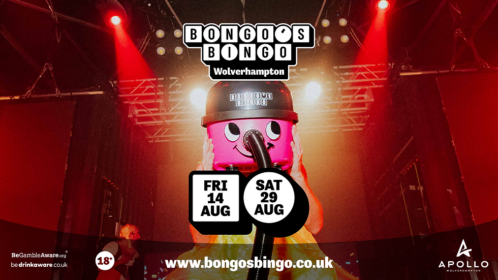 Bongo’s Bingo