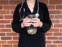 Support call for compulsory unpaid study placements