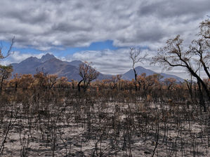 Cutting emissions one house at a time