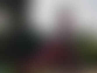 Yes, it’s rocket science: council to keep Hawthorn’s rocket on the launchpad