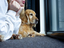 Isolation Exploration by Emily Rahilly