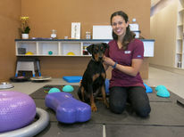 Holistic wellness for man’s best friend.