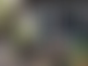 No Hands, Quarantine Life by Georgia Dow