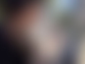 Dogs under threat: Beaches need warnings on lethal pufferfish