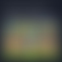 égalité / équité