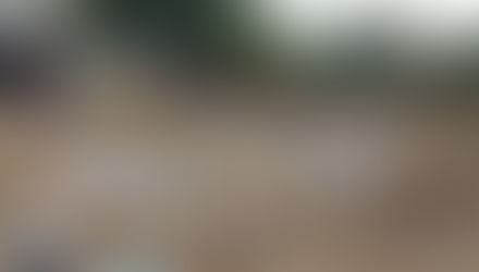 ログハウスキットの基礎が間もなく完成