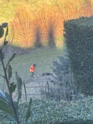 Early morning gunshots fired in the valley