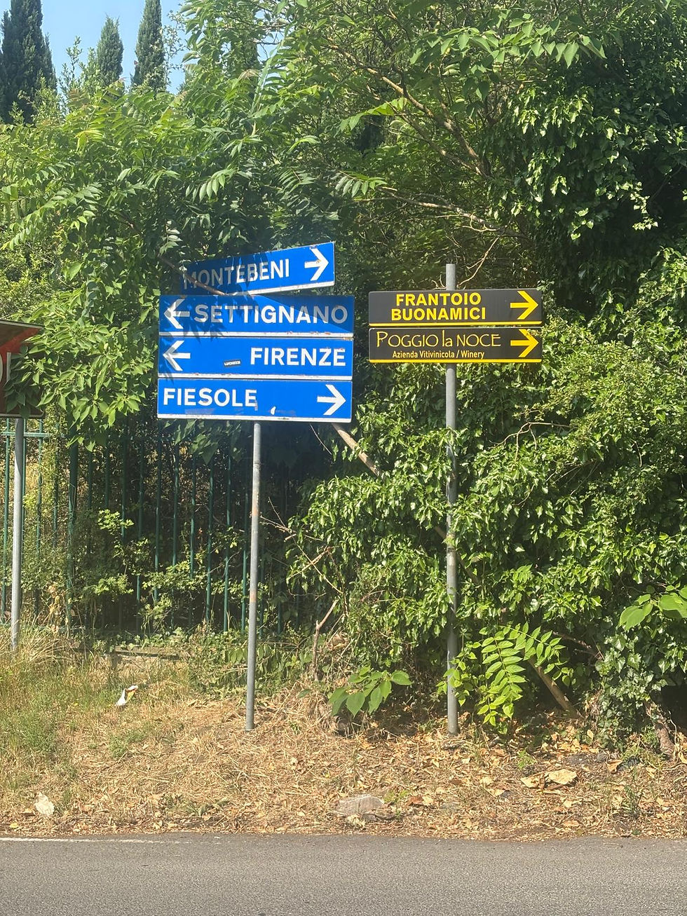 <- <- <- Thataway -> -> ->