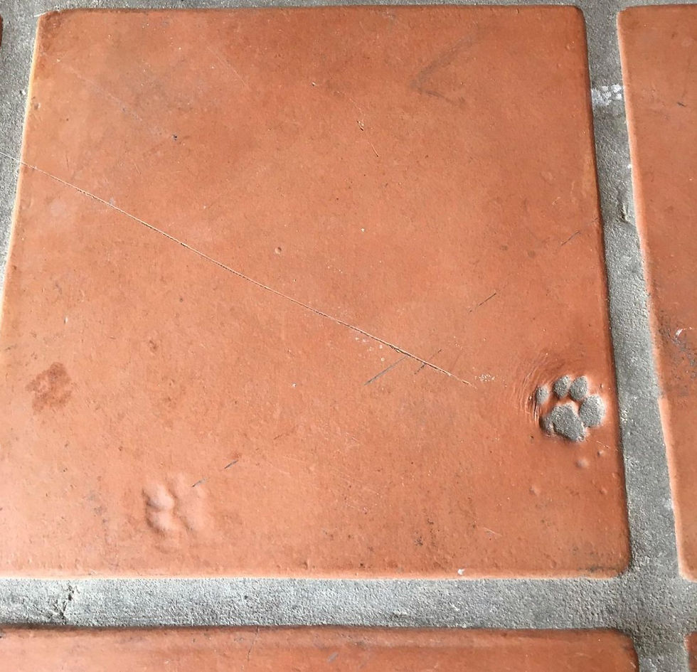 Brunelleschi personally visited the kilns in Impruneta to ensure the tiles were perfect, demanding zero defects or imperfections. 'Perfectionsita!' Unlike this latter day one.