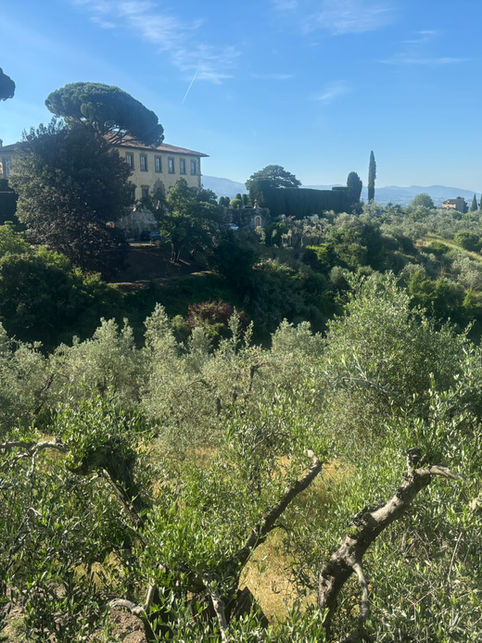 The mysteries of metal detecting in Montebeni, Florence (WWII and an old shoe shop)
