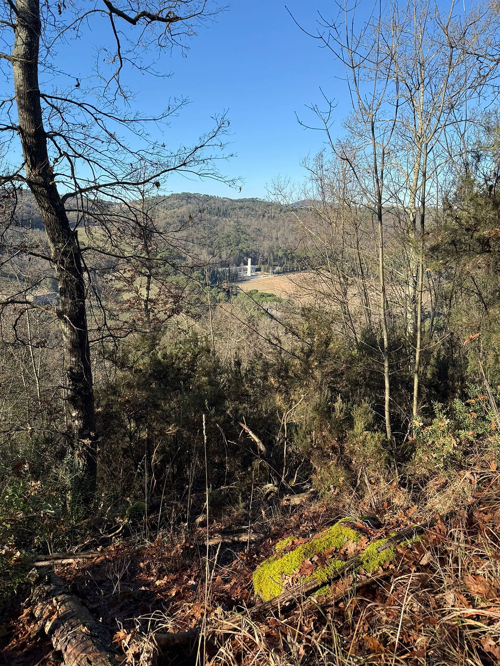 The Florence American Cemetery and Memorial is a peaceful World War II military cemetery that is beautifully maintained. No dogs allowed.