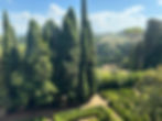 View from school class room in Florence with Cypress trees behind a stunning buxus garden - lemon trees in amongst the privet