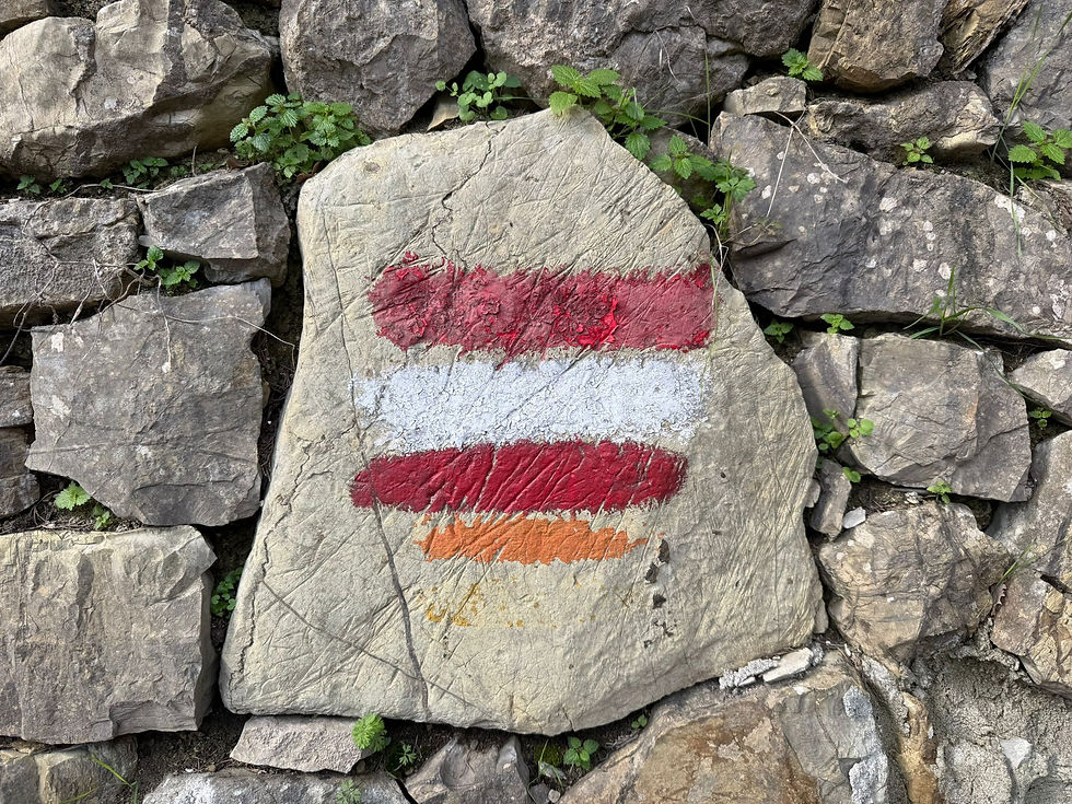 Trail "waymarks". The orange is likely a local hiking association as the red and white is used by the Italian Alpine Club (CAI – Club Alpino Italiano), and the ALTA VIA routes