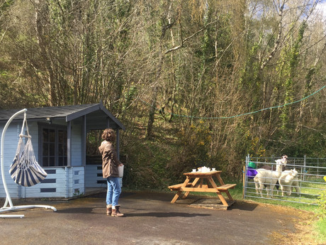 Summerhouse refreshments