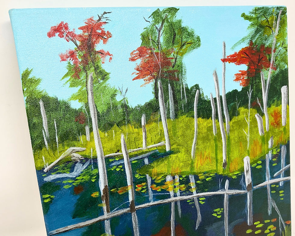 Thumbnail: Cranberry Bog