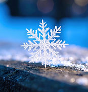 68862007-lindo-delicado-branco-floco-de-neve-carrinhos-sozinho-frio-gelado-superficie-intr