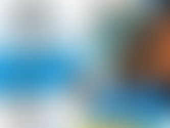 挑戰網陣(低結構)技術及一級教練證書課程