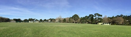 Boscawen Park, Truro: waste-tip to wonderful