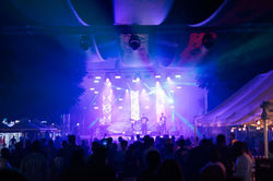 Mike Champion & The Young Boys