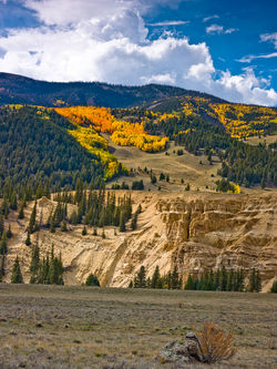 Creede Fall Color