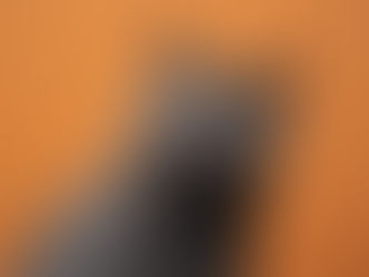 Brachycephalie bei Katzen – Atemprobleme, Augenpflege und Wohlbefinden kurznasiger Stubentiger