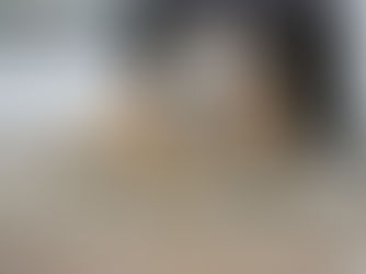 Fellprobleme beim Hund unter Kortisontherapie