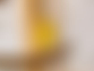Übergewicht im Käfig: Wenn der Kanarienvogel zu dick wird